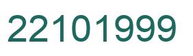 Number 22101999 green image