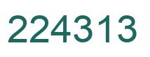 Number 224313 green image