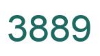 Number 3889 green image
