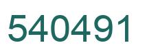 Number 540491 green image