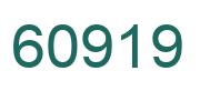 Number 60919 green image