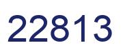 Number 22813 blue image