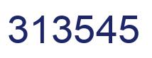 Number 313545 blue image