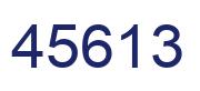 Number 45613 blue image