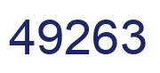 Number 49263 blue image