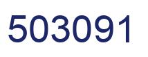 Number 503091 blue image
