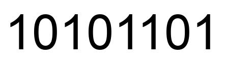 Number 10101101 black image