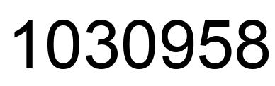 Number 1030958 black image