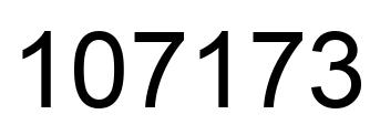 Number 107173 black image