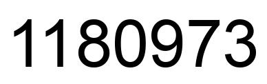 Number 1180973 black image