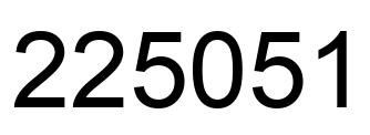 Number 225051 black image