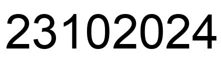 Number 23102024 black image