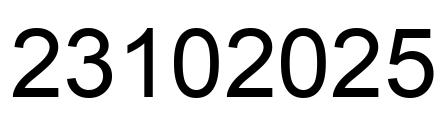 Number 23102025 black image