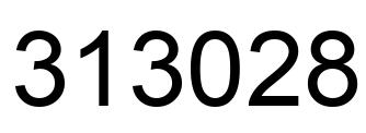 Number 313028 black image