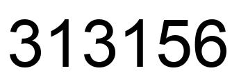 Number 313156 black image