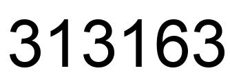Number 313163 black image