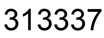 Number 313337 black image