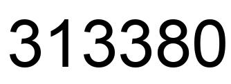 Number 313380 black image