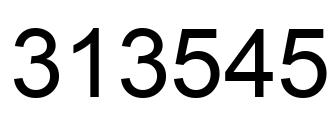 Number 313545 black image