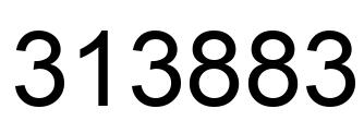 Number 313883 black image
