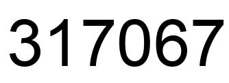 Number 317067 black image