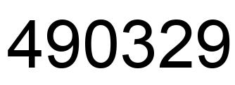 Number 490329 black image