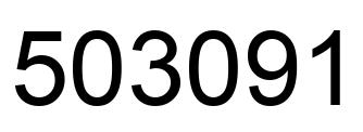 Number 503091 black image
