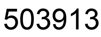 Number 503913 black image