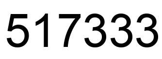 Number 517333 black image