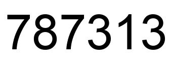 Number 787313 black image