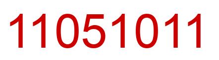Number 11051011 red image