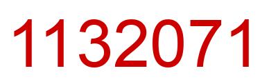 Number 1132071 red image