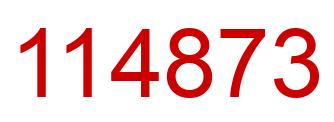 Number 114873 red image