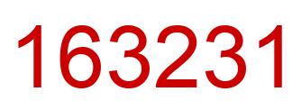 Number 163231 red image