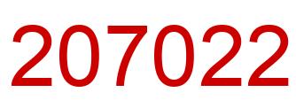 Number 207022 red image
