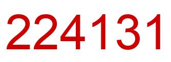 Number 224131 red image