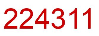 Number 224311 red image