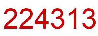 Number 224313 red image