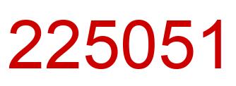 Number 225051 red image