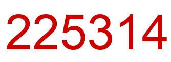 Number 225314 red image