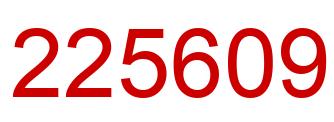 Number 225609 red image