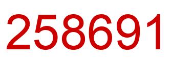 Number 258691 red image