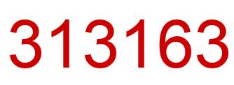 Number 313163 red image