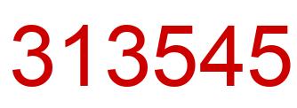 Number 313545 red image