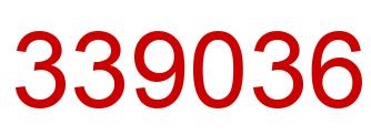 Number 339036 red image