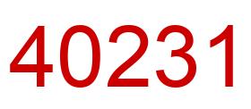 Number 40231 red image