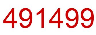 Number 491499 red image