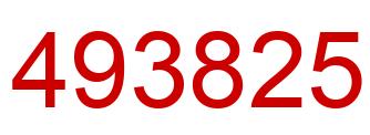 Number 493825 red image