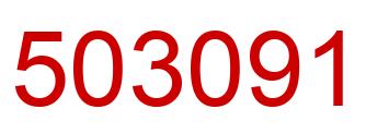 Number 503091 red image