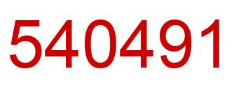 Number 540491 red image